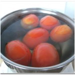 Molho de Tomates (8)