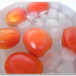 Molho de Tomates (9)