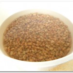 Feijão de corda (9) Feijão de corda (9)