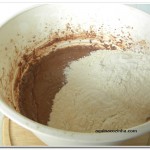 Bolo de chocolate feito com a calda (7)