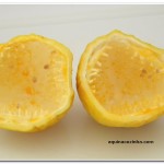 Mousse de Maracujá 4 150x150 Mousse de Maracujá   Receita fácil e rápida