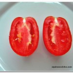 Como Fazer Tomate Seco em Casa (receita rápida e fácil)