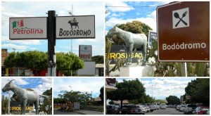 Bodódromo