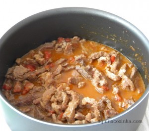 strogonoff de carne