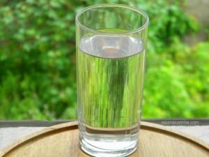 agua+beneficios