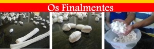Bala de coco